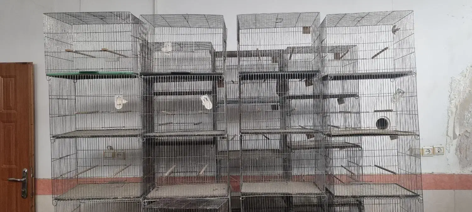 قفس قناری|لوازم جانبی حیوانات|قم, باغ کرباسی|دیوار