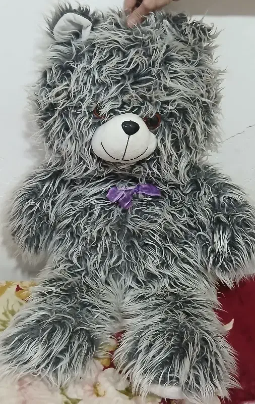 عروسک خرس|اسباب‌بازی بچه|زابل, |دیوار