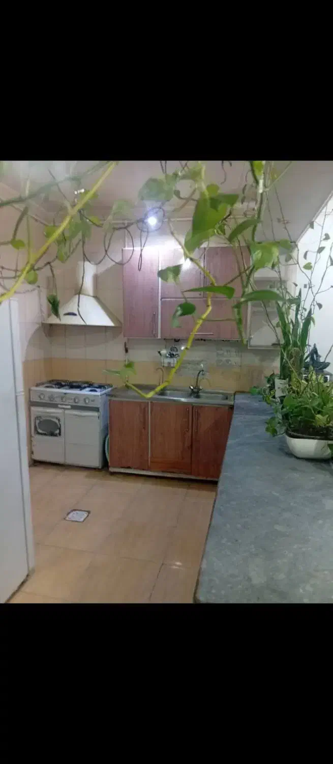 فروش همکف پشت کاردانش|فروش آپارتمان|بهبهان, |دیوار