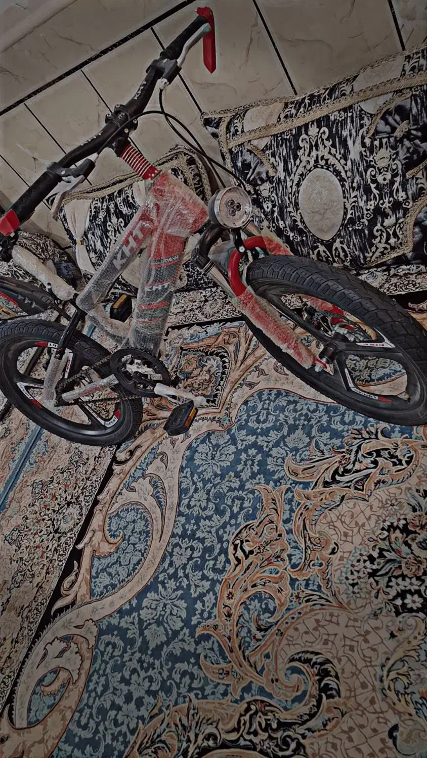 دوچرخه 20|دوچرخه، اسکیت، اسکوتر|هیرمند, |دیوار