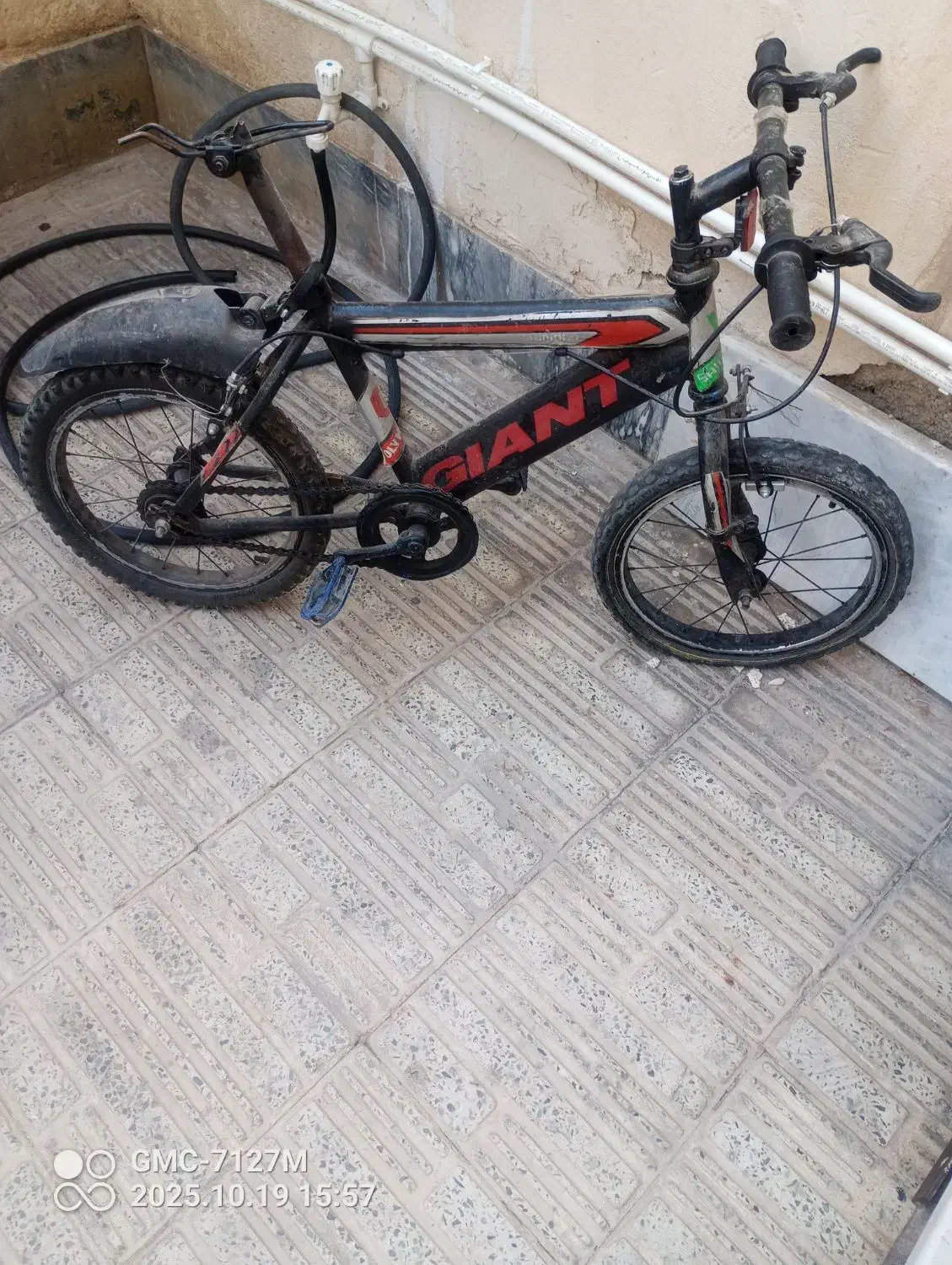 دوچرخه|دوچرخه، اسکیت، اسکوتر|محمدشهر, جعفرآباد|دیوار