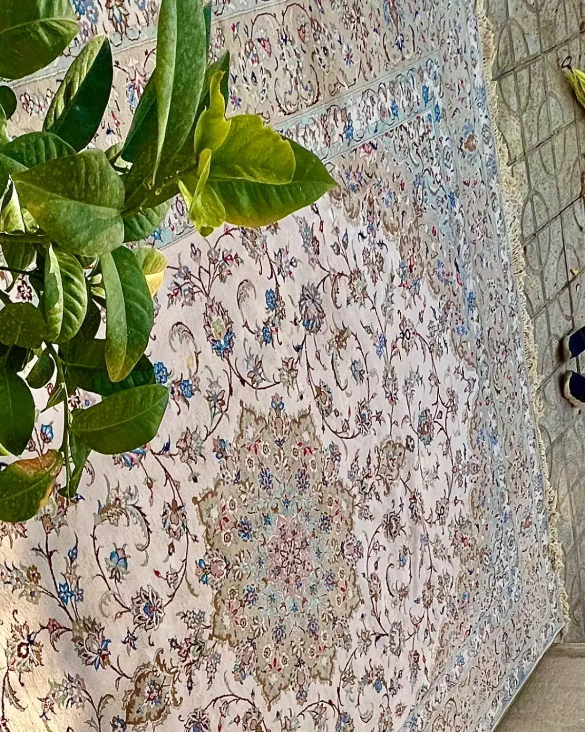 فرش دستباف|فرش|اصفهان, عسگریه|دیوار