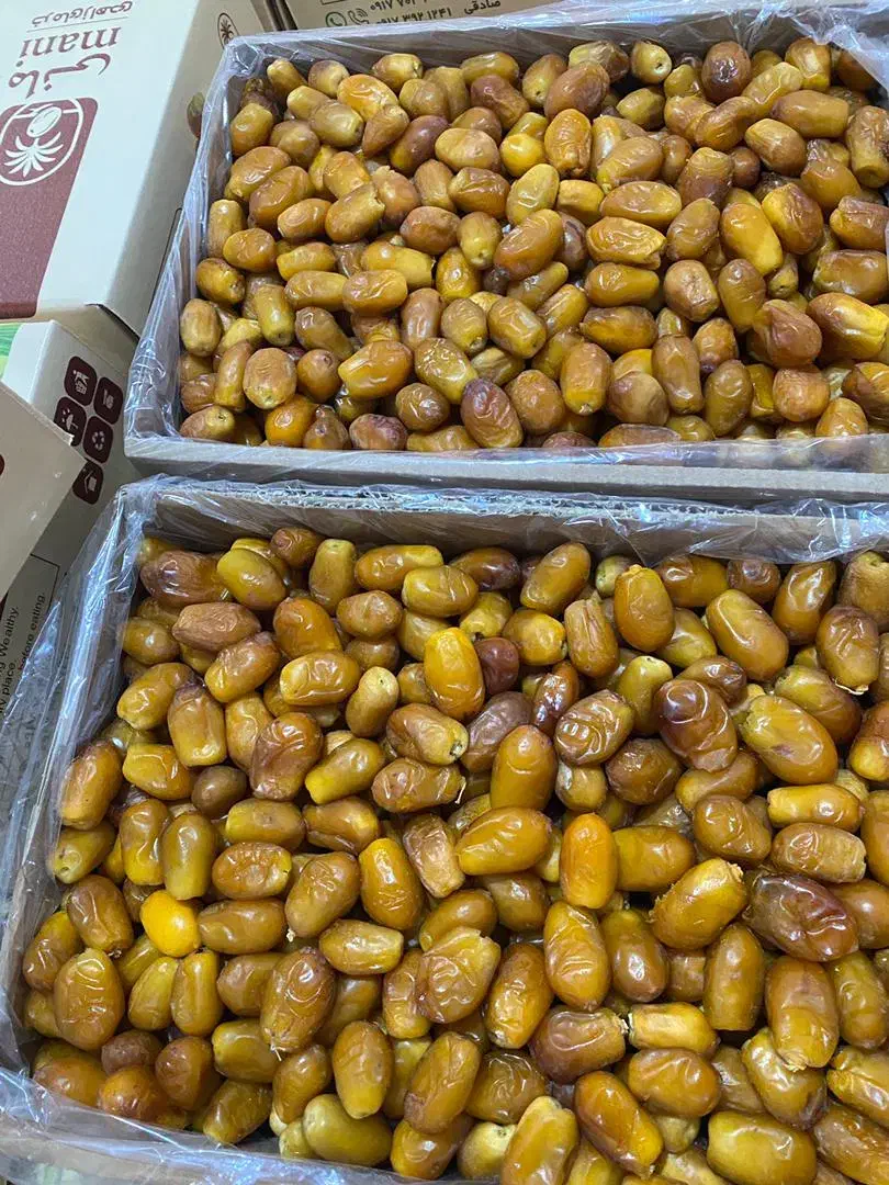 رطب زاهدی(قصب)|خوردنی و آشامیدنی|قیروکارزین, |دیوار