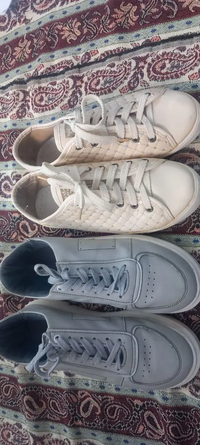 دو جفت کفش|کیف، کفش، کمربند|نهاوند, |دیوار