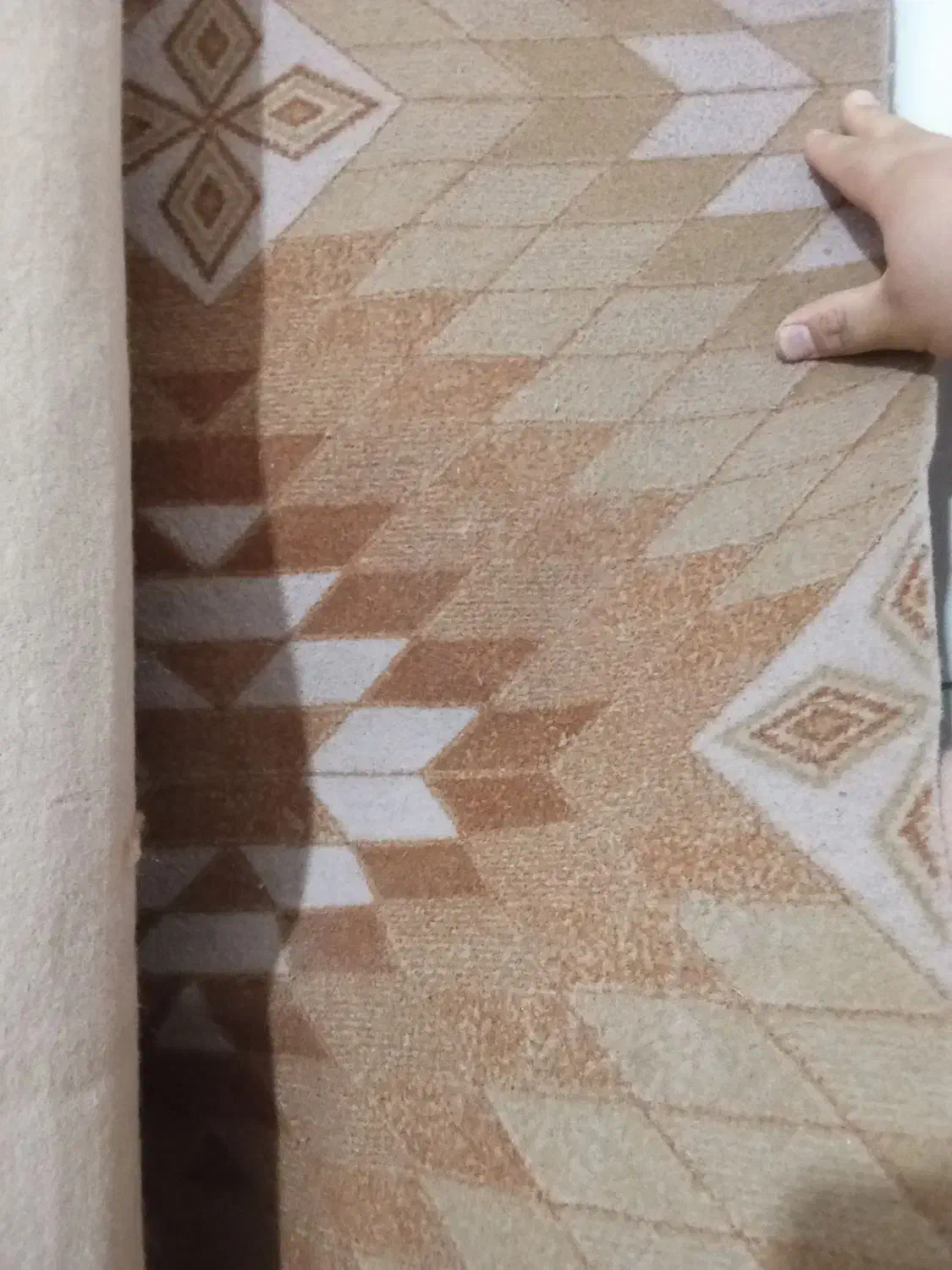 موکت|موکت|قم, شهر قائم|دیوار