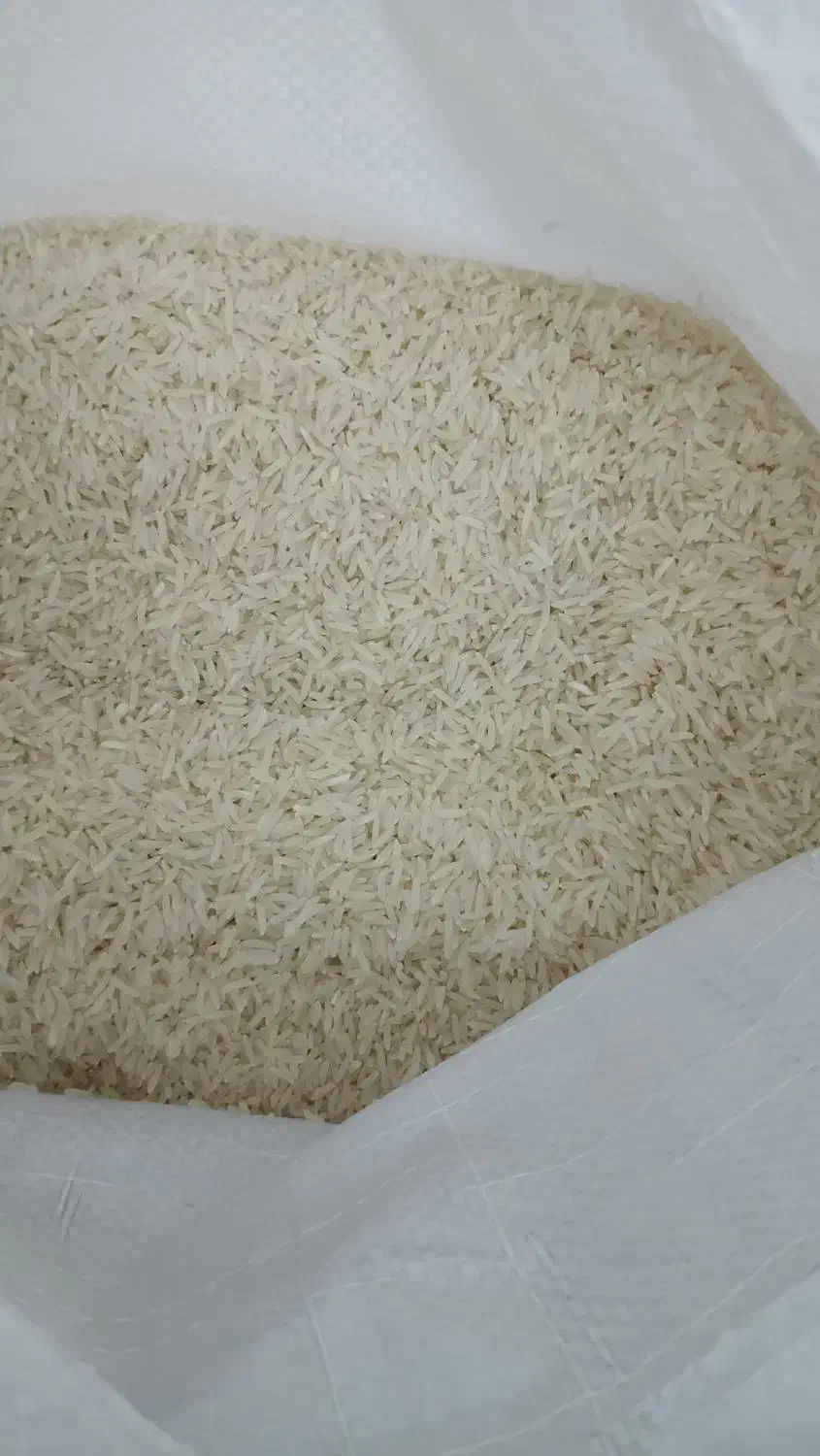 برنج دم سیاه|خوردنی و آشامیدنی|مهدی شهر, |دیوار