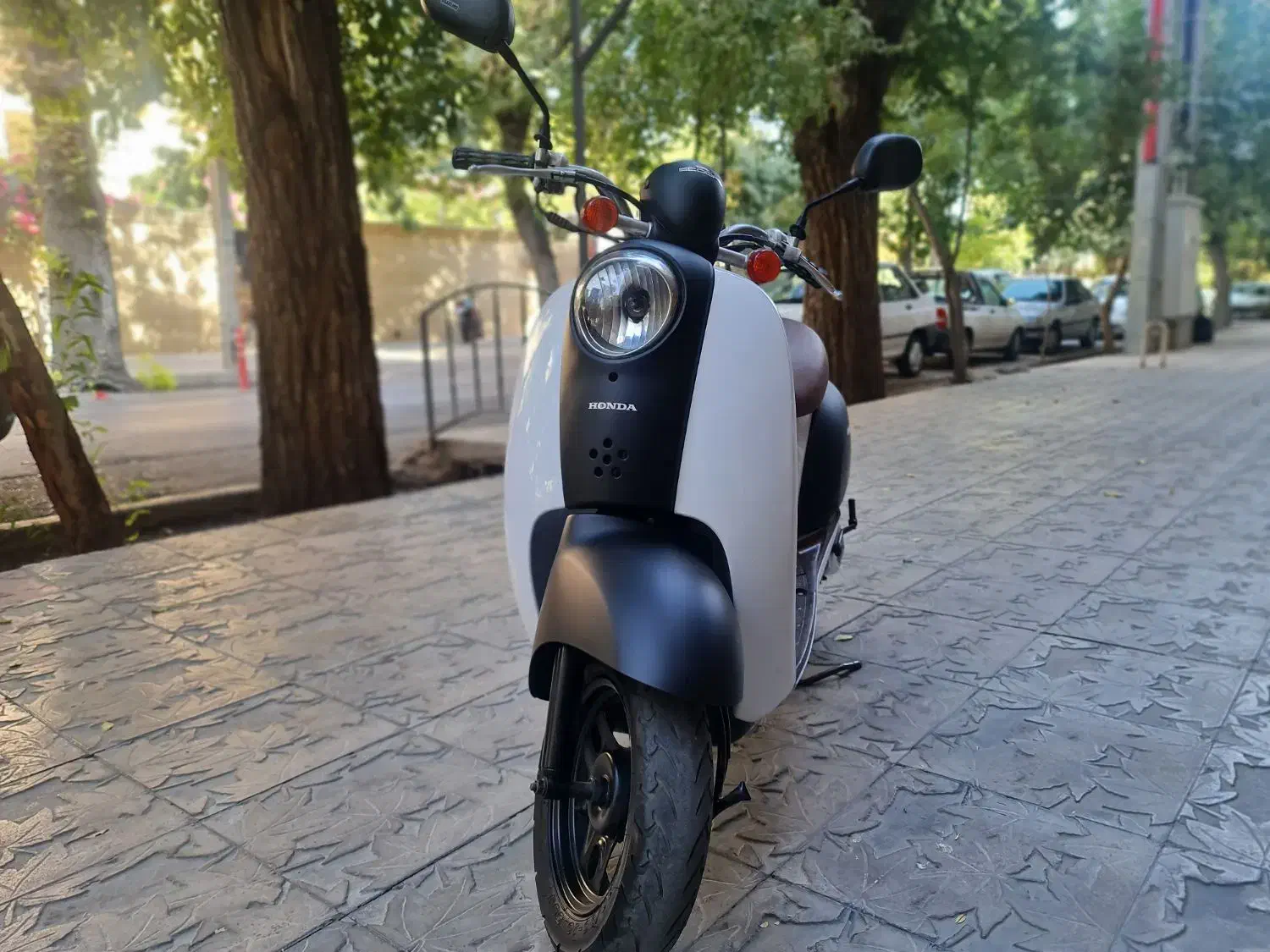 هوندا اسکوپی 50 سیسی سالم و شیک|موتورسیکلت|شیراز, گود خزینه|دیوار