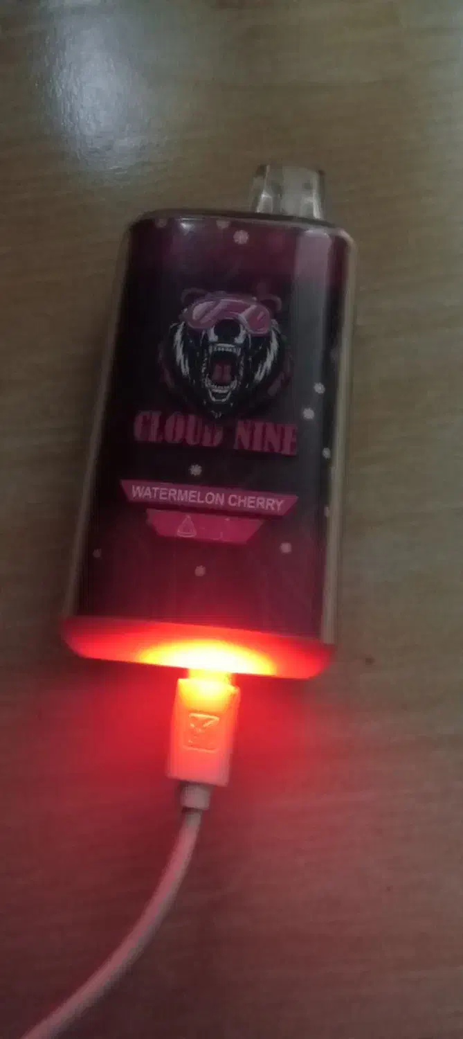 پاد ویپ|زیورآلات و اکسسوری|رشت, عینک|دیوار