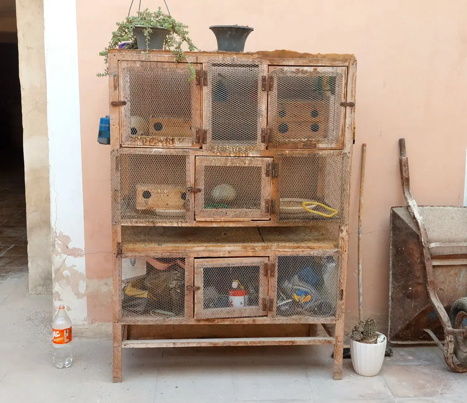 قفس پرنده در بندرلنگه|لوازم جانبی حیوانات|بندرلنگه, |دیوار