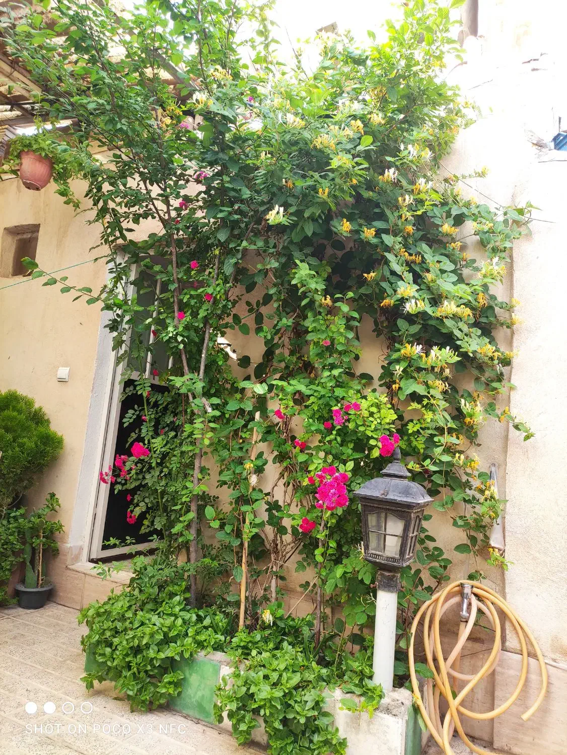 خانه ویلایی|فروش خانه و ویلا|رباط‌کریم, منجیل آباد|دیوار