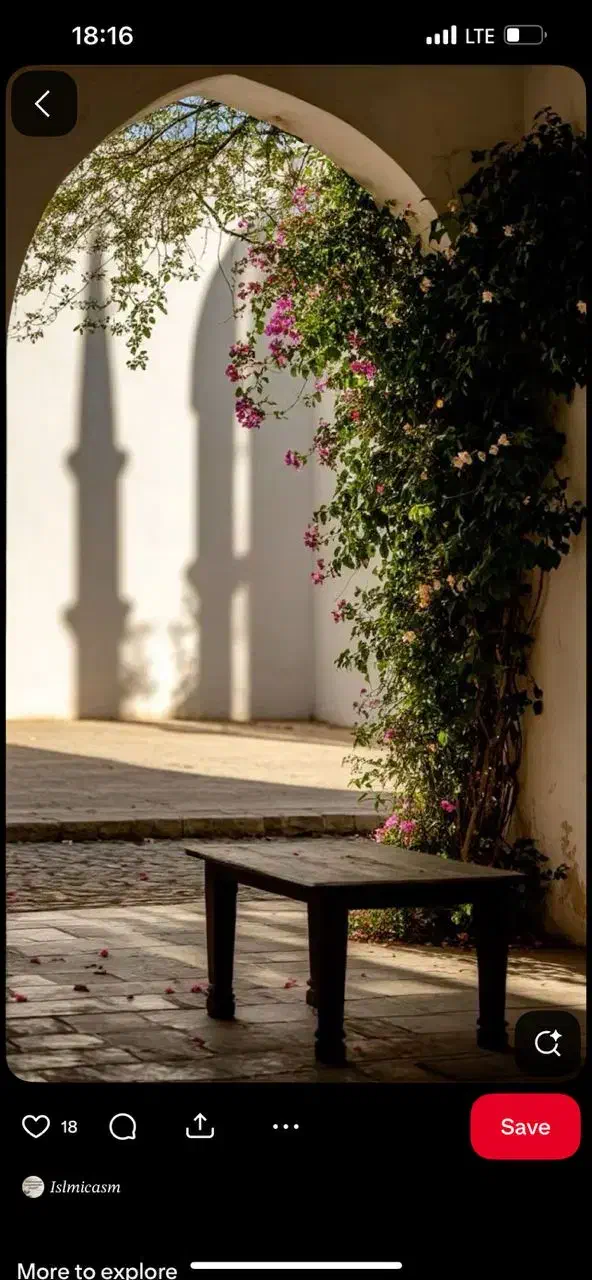 ۲۸۰ متر با بر ۱۴ متر از کوچه ۶ متری سنددار (رسالت)|فروش زمین و ملک کلنگی|رشت, فلسطین|دیوار