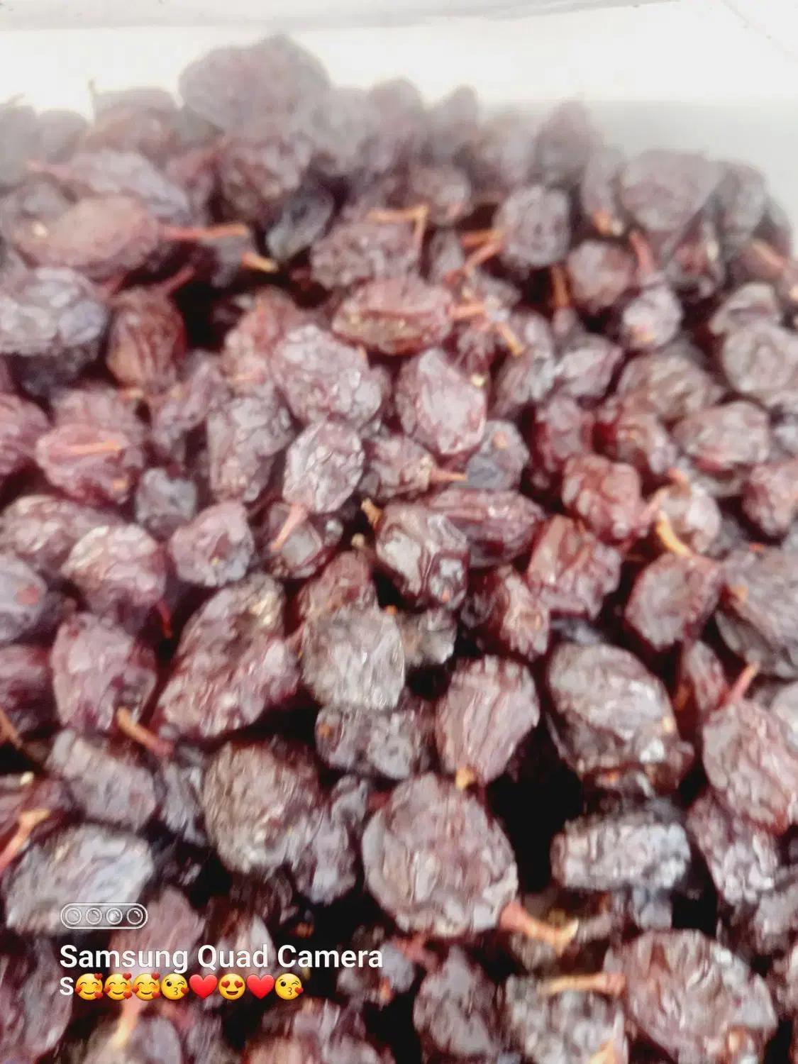 فروش مویز وکشمش|خوردنی و آشامیدنی|کامیاران, |دیوار