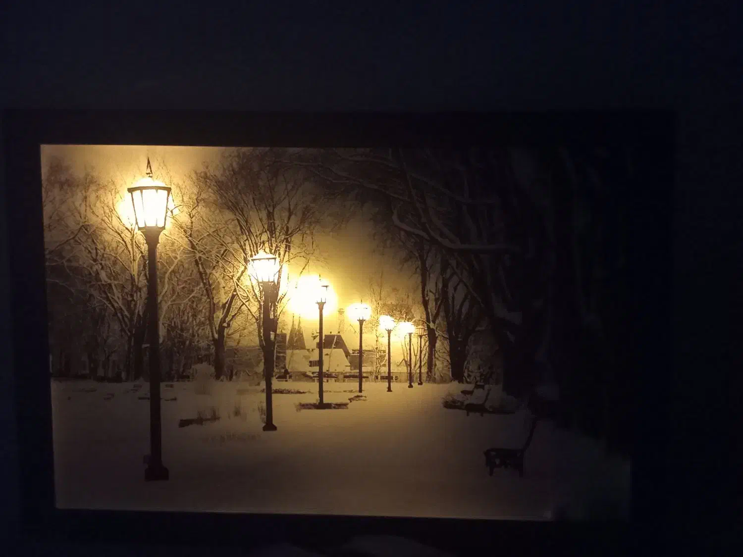 تابلو شب نما|تابلو، نقاشی، عکس|تاکستان, |دیوار