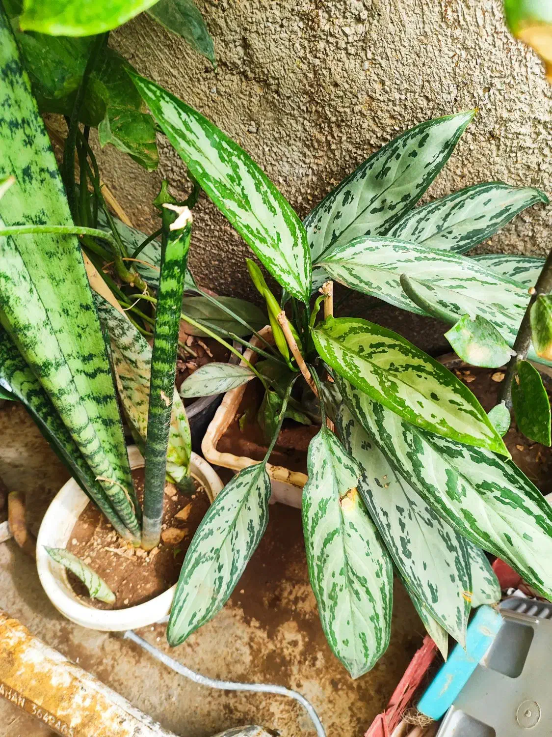 کنسول بازی|کنسول، بازی ویدئویی و آنلاین|سرپل ذهاب, |دیوار