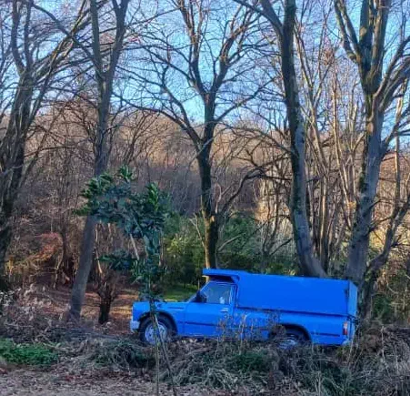 نیسان مدل ۹۰|خودرو سواری و وانت|ری, شهید غیوری (ابن باویه)|دیوار