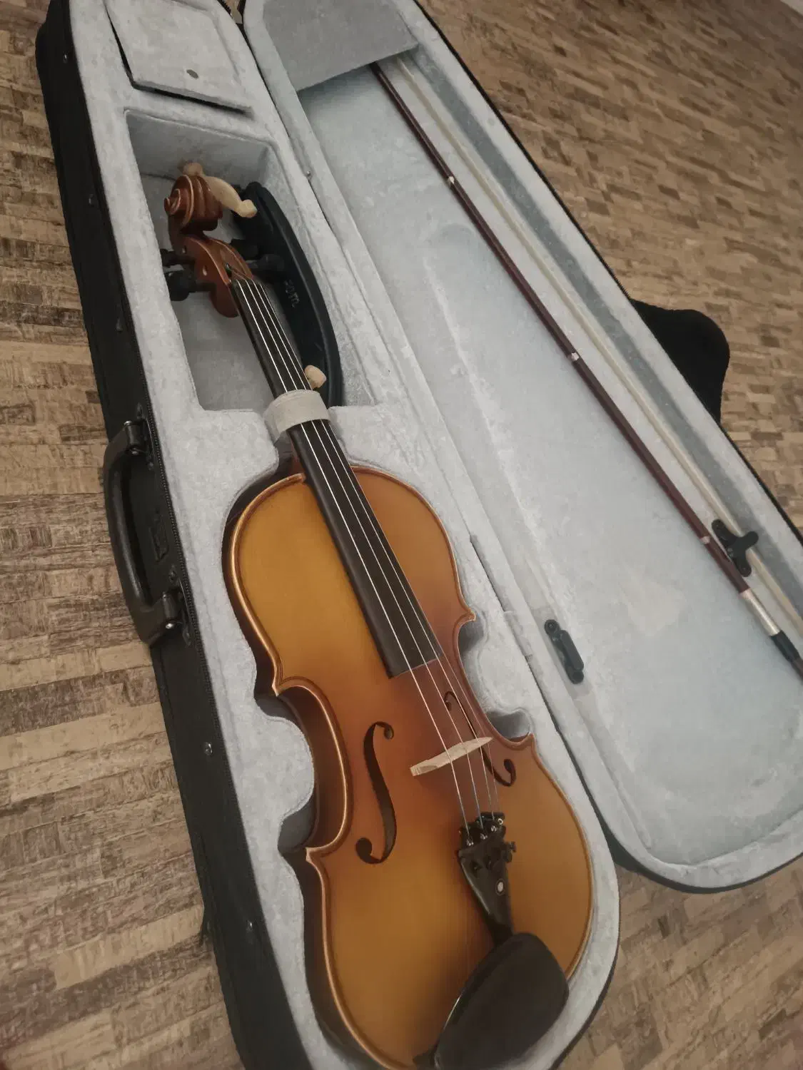 ویالون تی اف سایز ۴/۴|ویولن|شیراز, دشت چنار|دیوار