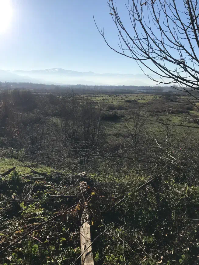 زمین|فروش زمین و ملک کلنگی|رشت, لاکان|دیوار