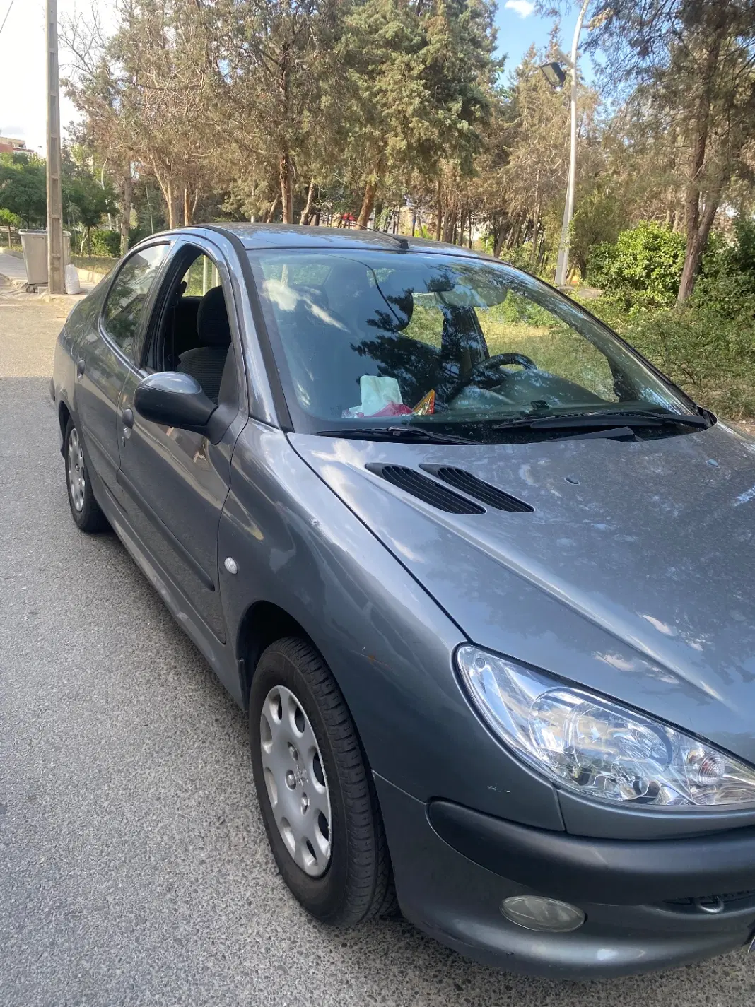 206 sd v8|خودرو سواری و وانت|تهران, شهرک چیتگر|دیوار