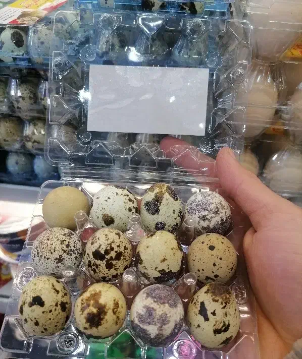 تخم بلدرچین مرغ رسمی|خوردنی و آشامیدنی|قم, سراجه (۱۵ خرداد)|دیوار