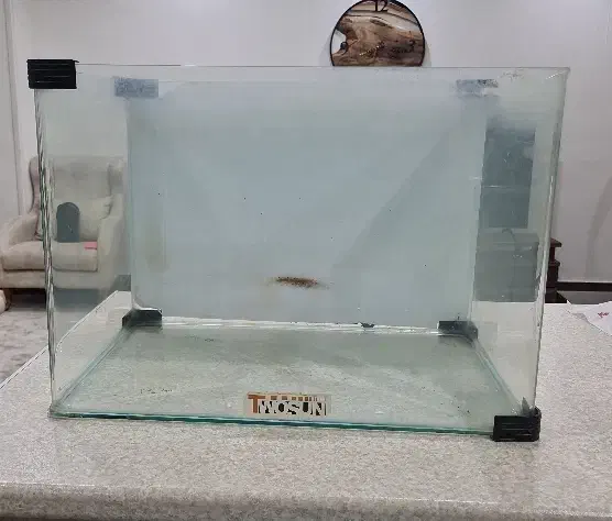 اکواریوم شیشه خم|ماهی|کرج, باغستان|دیوار