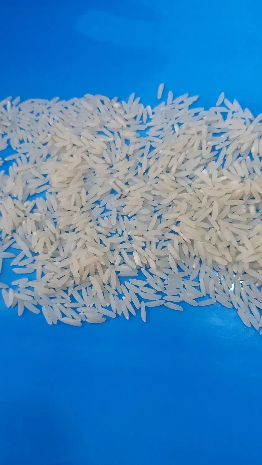 فروش برنج هاشمی دو نوج درجه یک|خوردنی و آشامیدنی|بابلسر, |دیوار