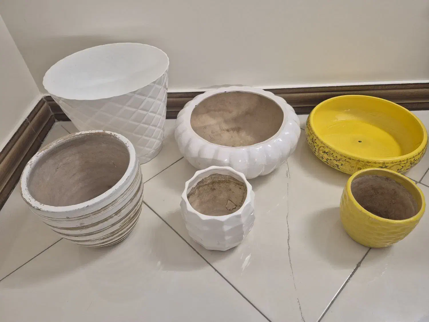 گلدون|گل و گیاه طبیعی|تهران, والفجر (افسریه)|دیوار