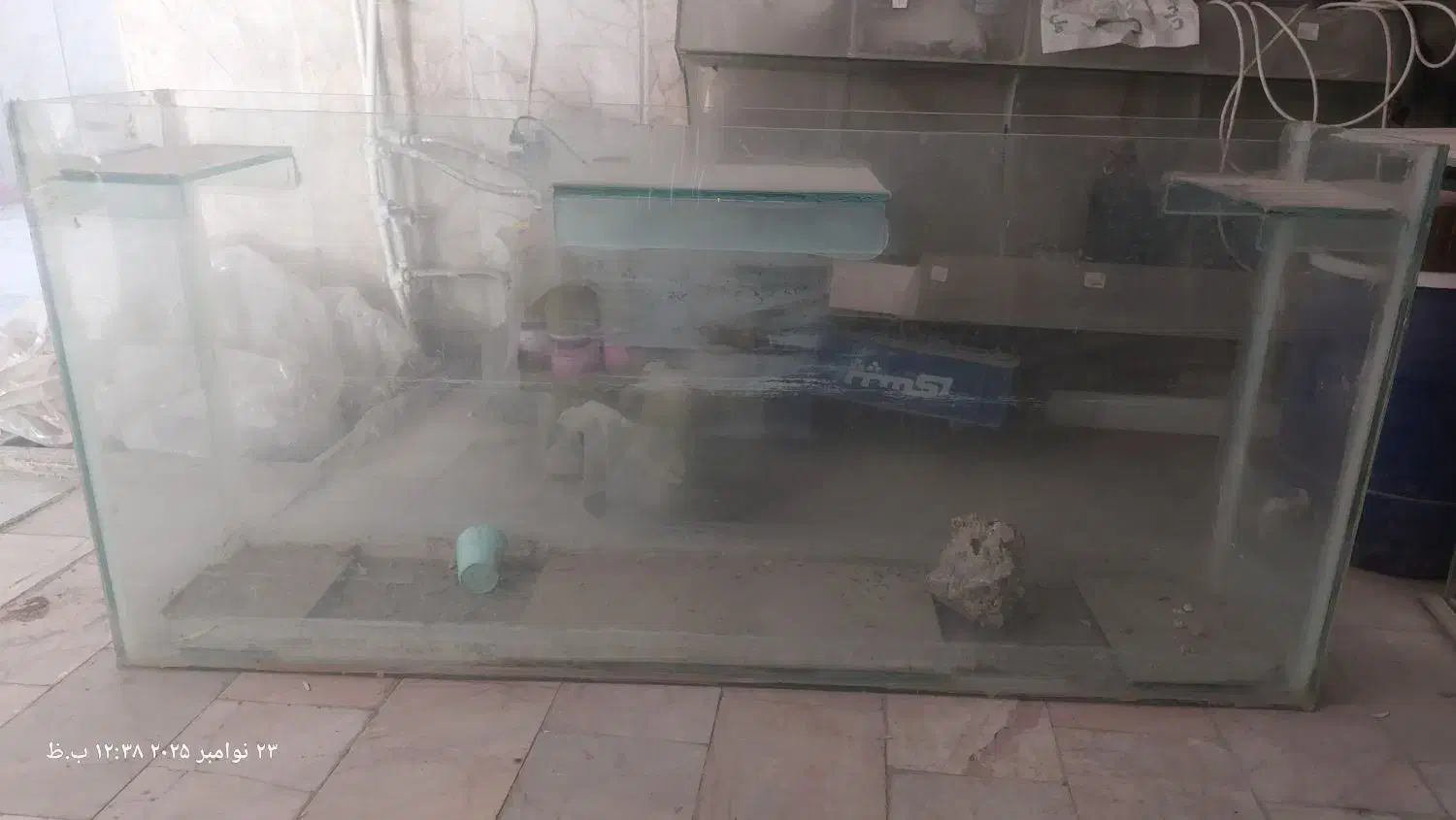 آکواریوم|ماهی|چناران, |دیوار