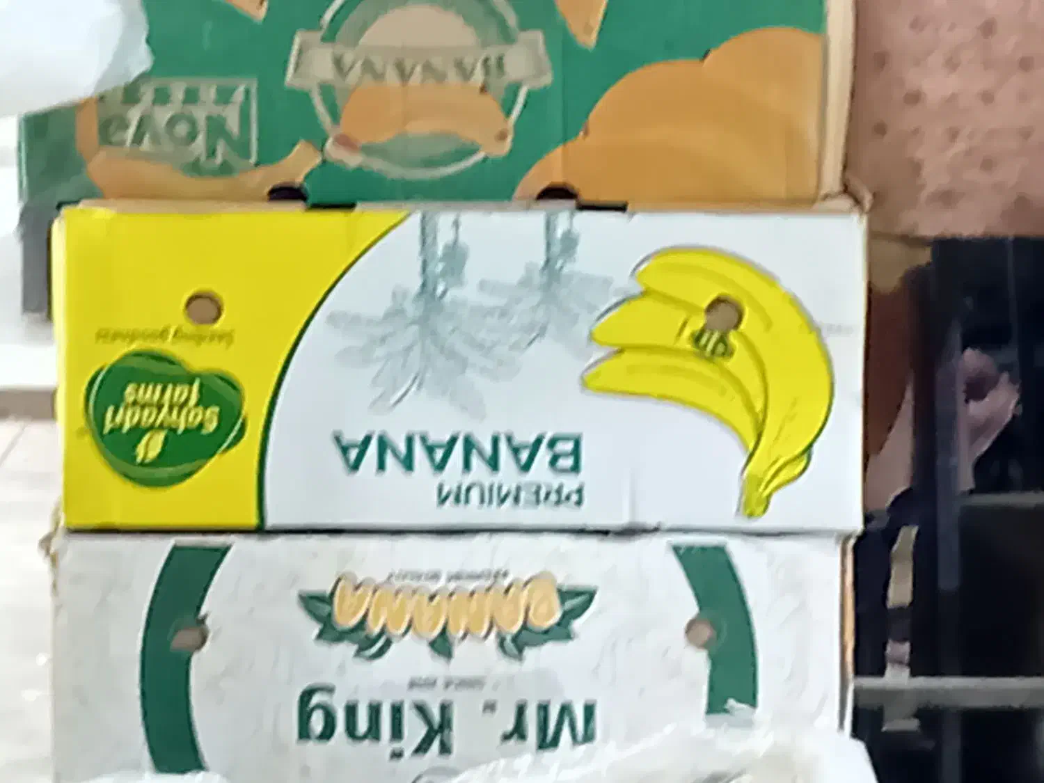 کارتن موزی|حراج|زابل, |دیوار