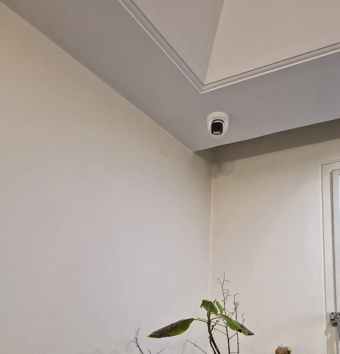 دوربین مدار بسته indoor|دوربین مداربسته|تهران, سردارجنگل|دیوار