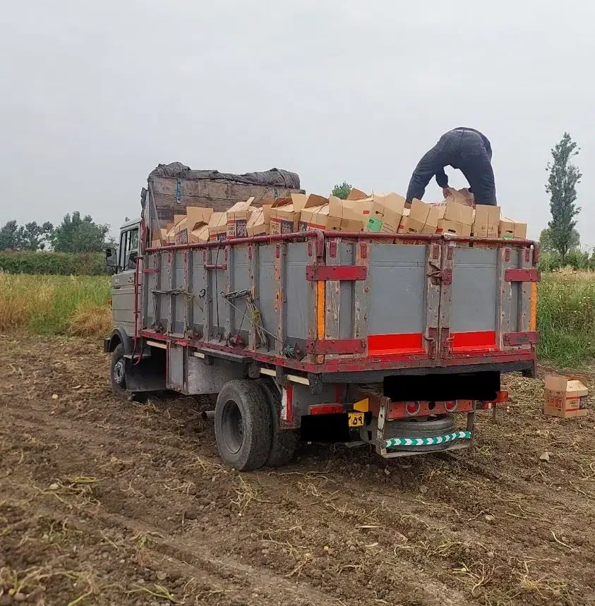 حمل ونقل باخاور ۸تن|خدمات حمل و نقل|گرگان, |دیوار
