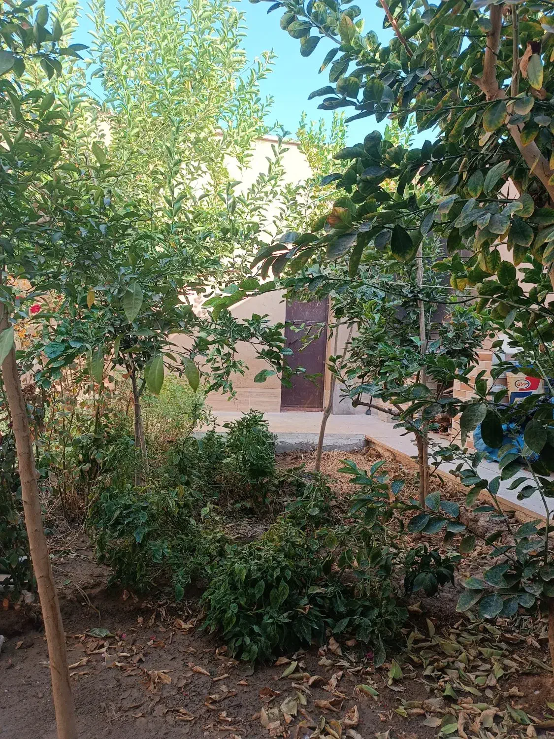 اجاره یک باب منزل مسکونی|اجارهٔ خانه و ویلا|اردکان, |دیوار