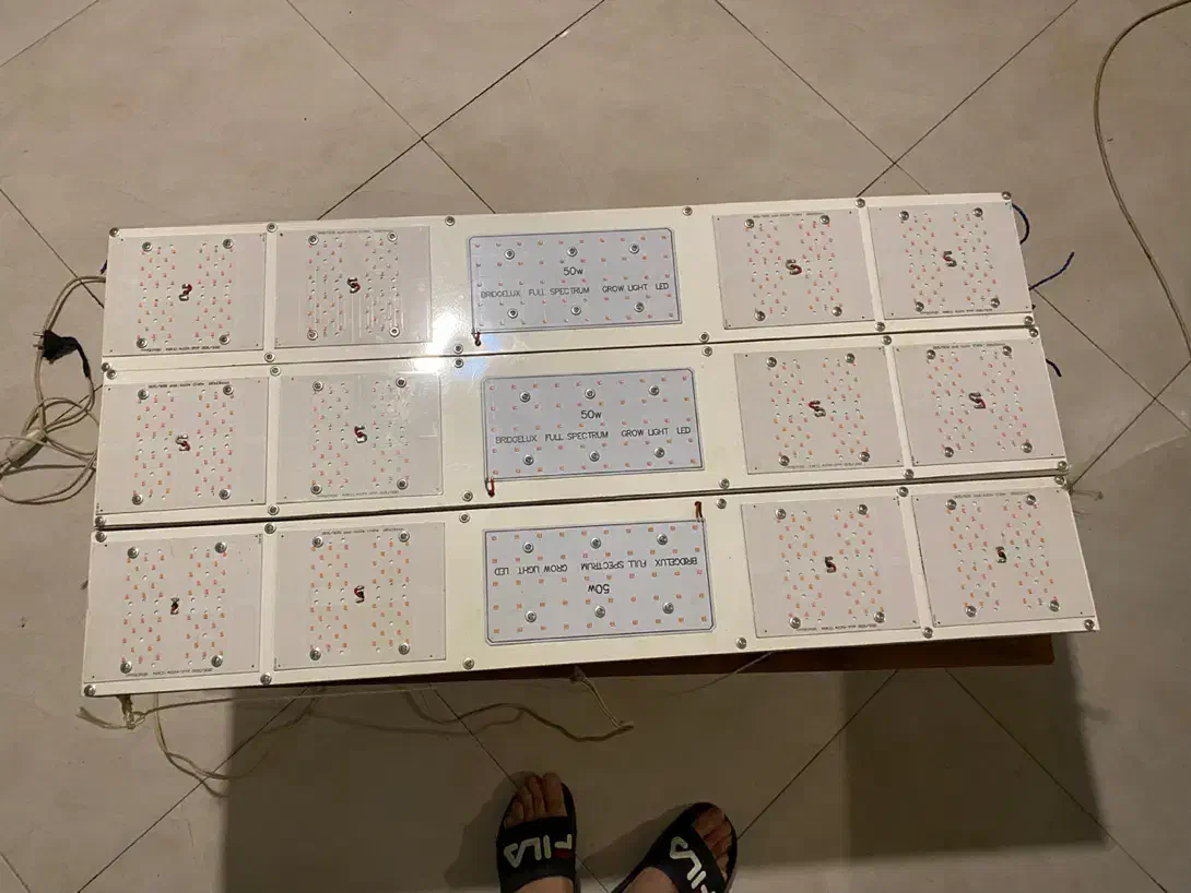 ۳ عدد لامپ حرفه ای و تخصصی رشد گیاه کشت ایندور|لامپ و چراغ|تهران, سازمان برنامه جنوبی|دیوار