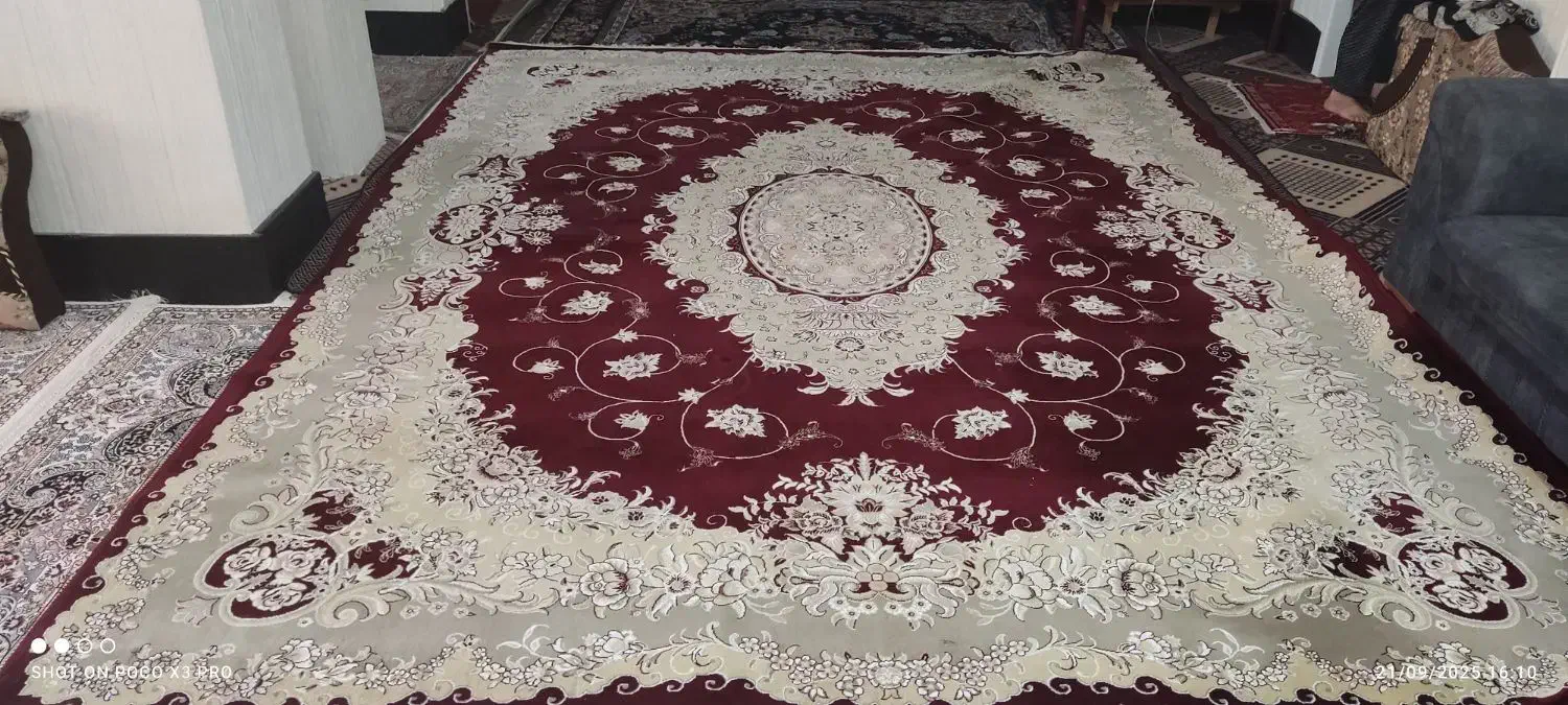 قالی لاکی در حد نو 2عدد و دوعدد کنار فرشی|فرش|مرودشت, فرهنگ|دیوار