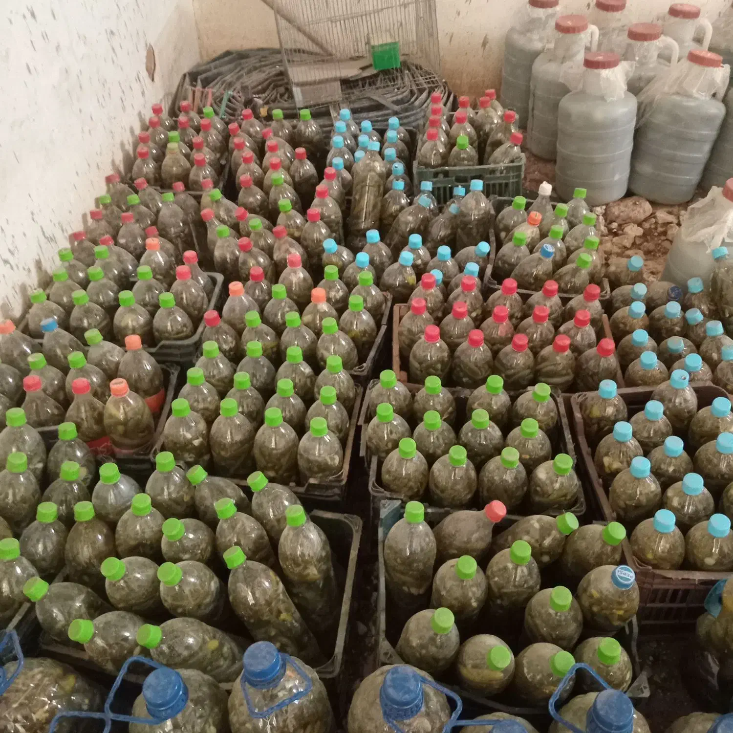 همدان شهره شیرین سو|خوردنی و آشامیدنی|شیرین‌سو, |دیوار