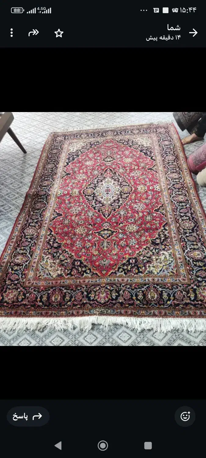 قالیچه دست باف سه متری|فرش|فردیس, فرامرزیه|دیوار