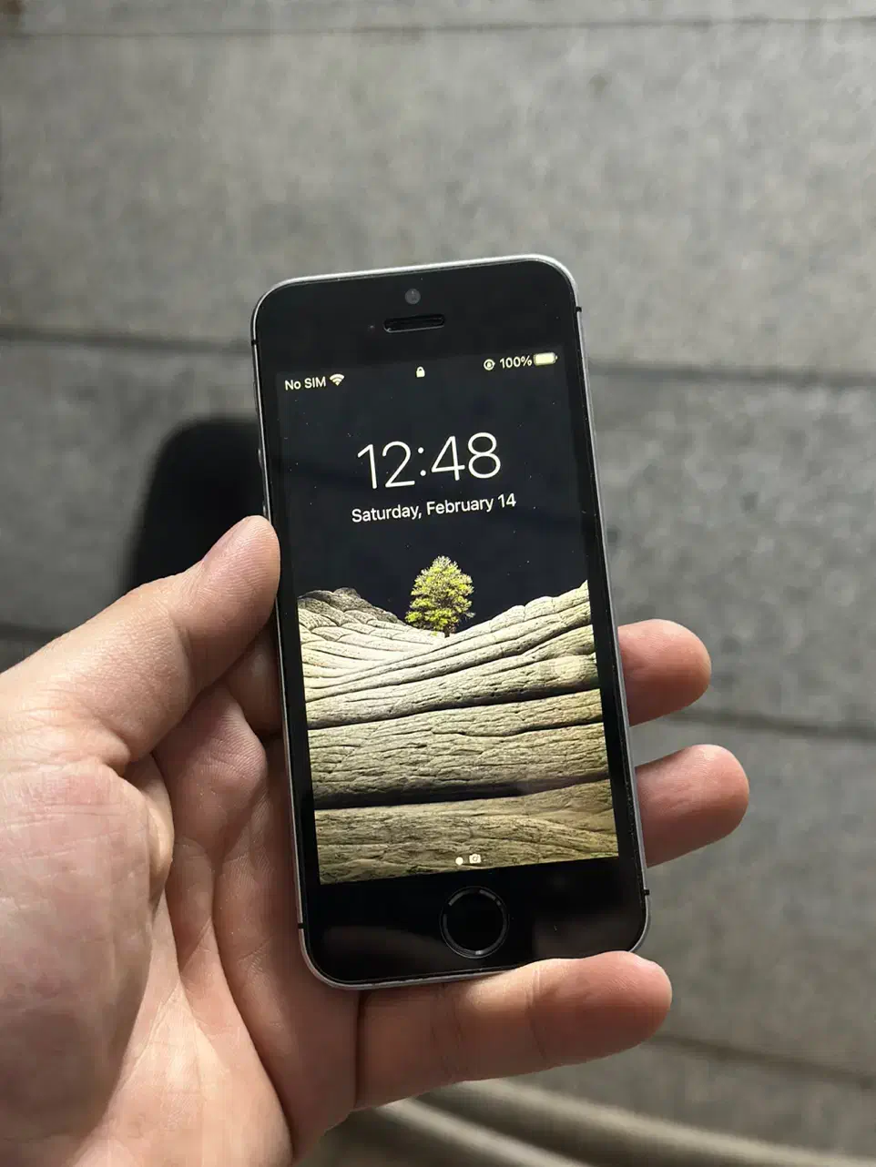 iphone Se 2016 64gig LLa|موبایل|تبریز, |دیوار