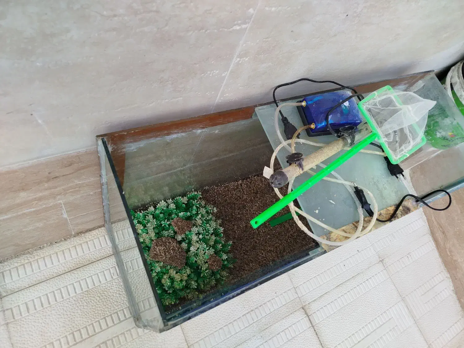 آکواریوم|ماهی|محمدبار, |دیوار