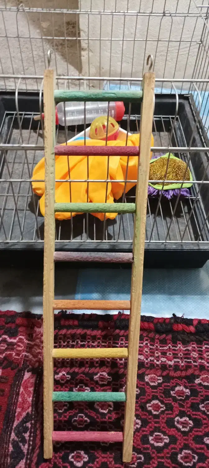 قفس خوکچه و خرگوش|لوازم جانبی حیوانات|تهران, سبلان (لشگر)|دیوار