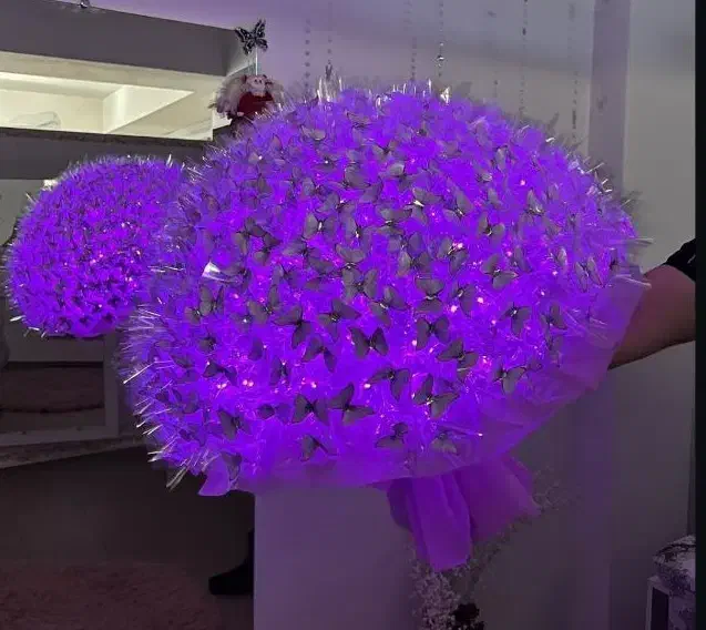 دسته گل پروانه ای|گل مصنوعی|اردبیل, |دیوار