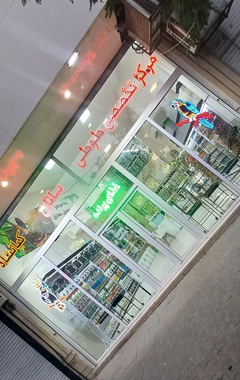 مرکز تخصصی طوطی سانان کیانشاه|پرنده|نیشابور, هفده شهریور|دیوار