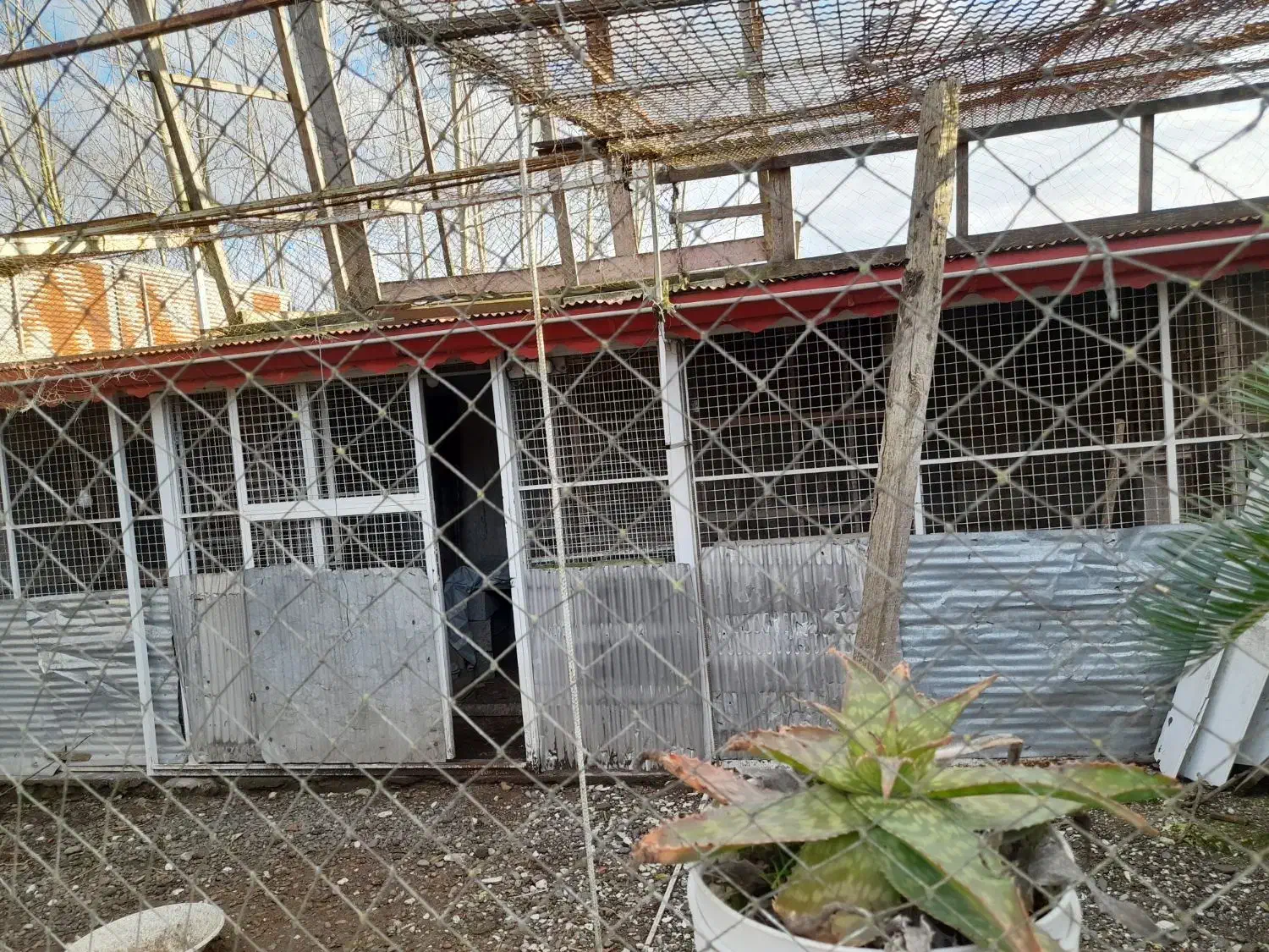 لانه|لوازم جانبی حیوانات|رشت, جانبازان|دیوار