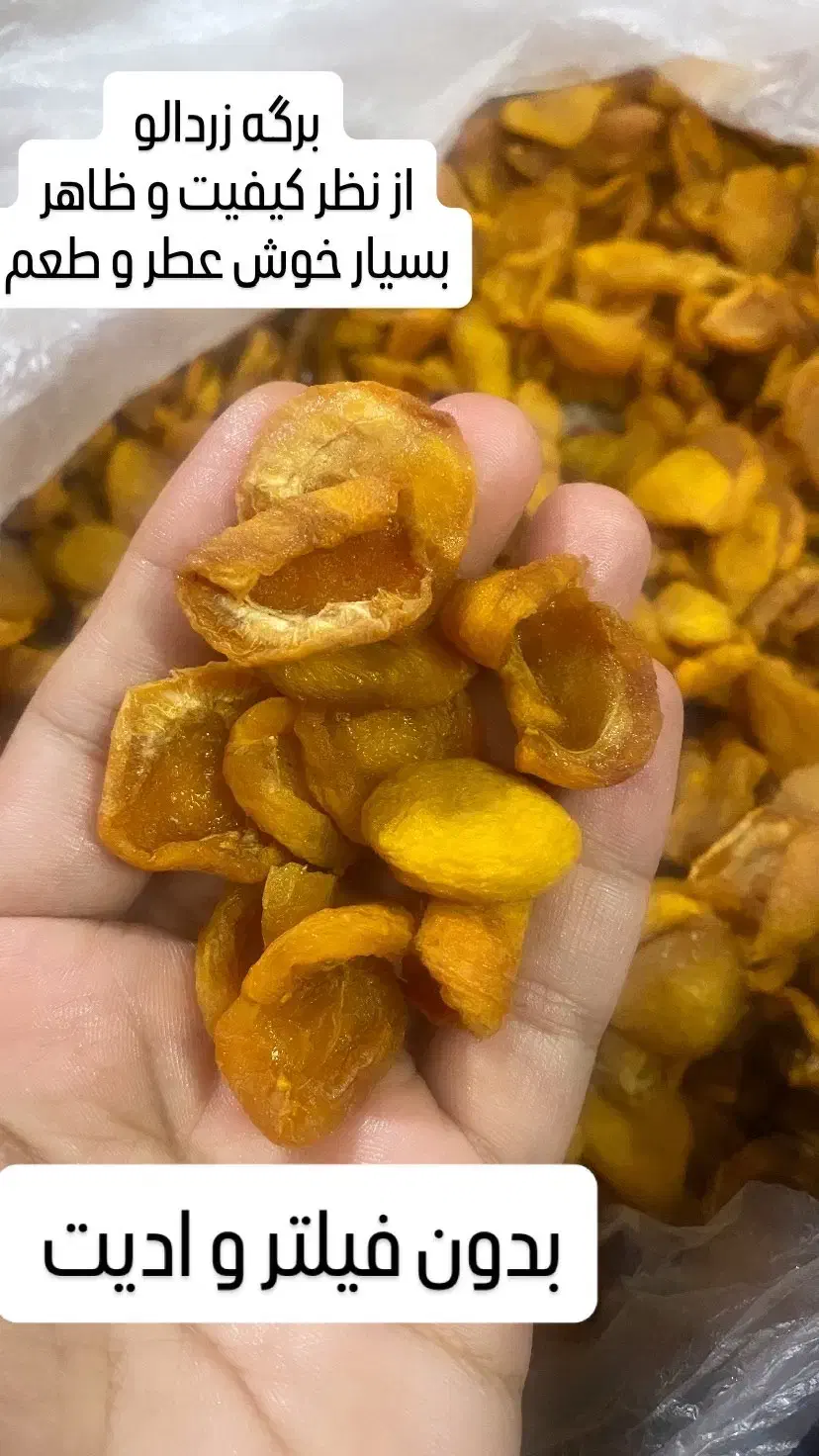 برگه زردالو محلی گوشتی|خوردنی و آشامیدنی|داراب, |دیوار