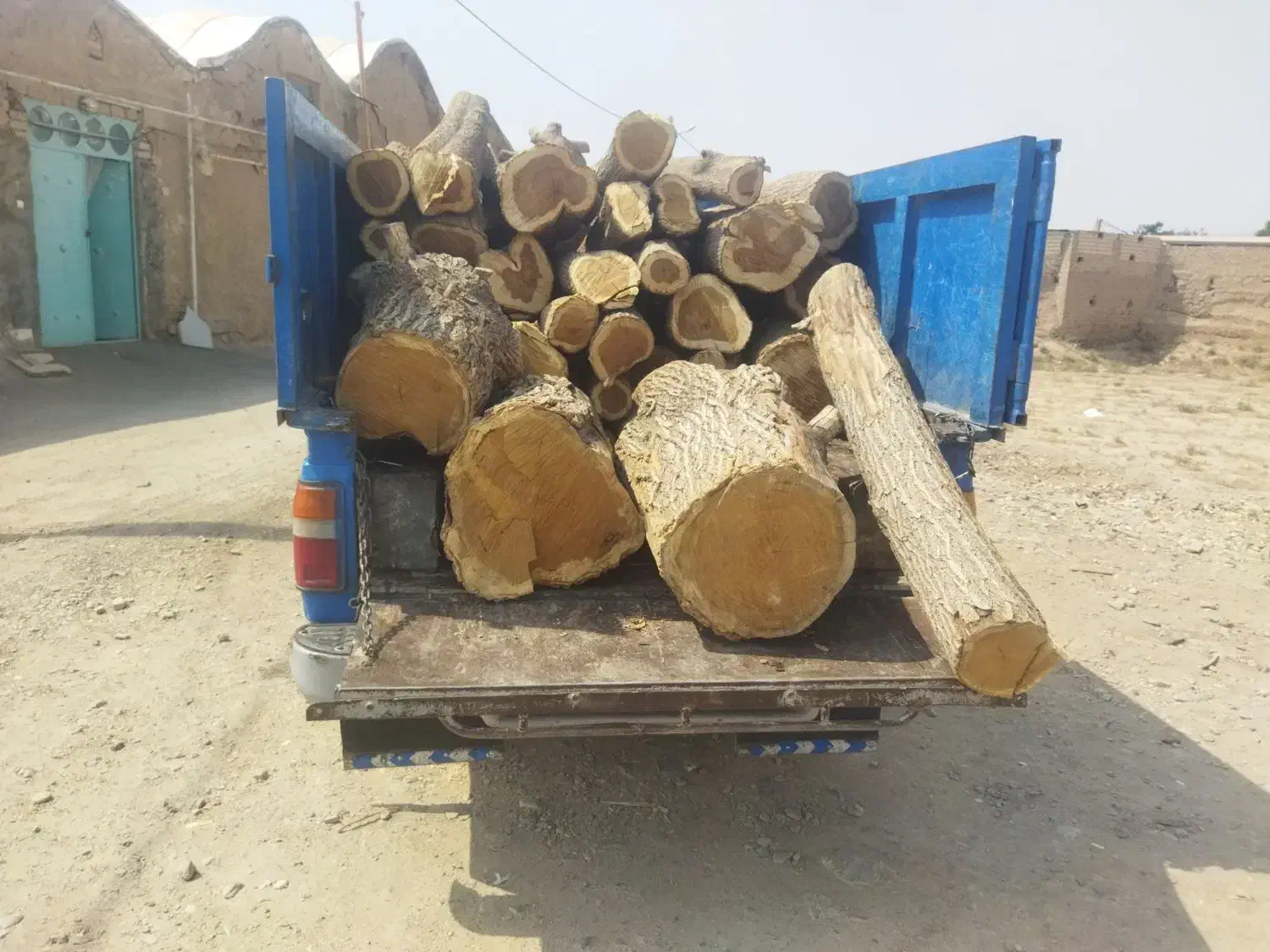 خریدچوب‌ودرخت|خدمات باغبانی و درختکاری|کاشان, راوند|دیوار