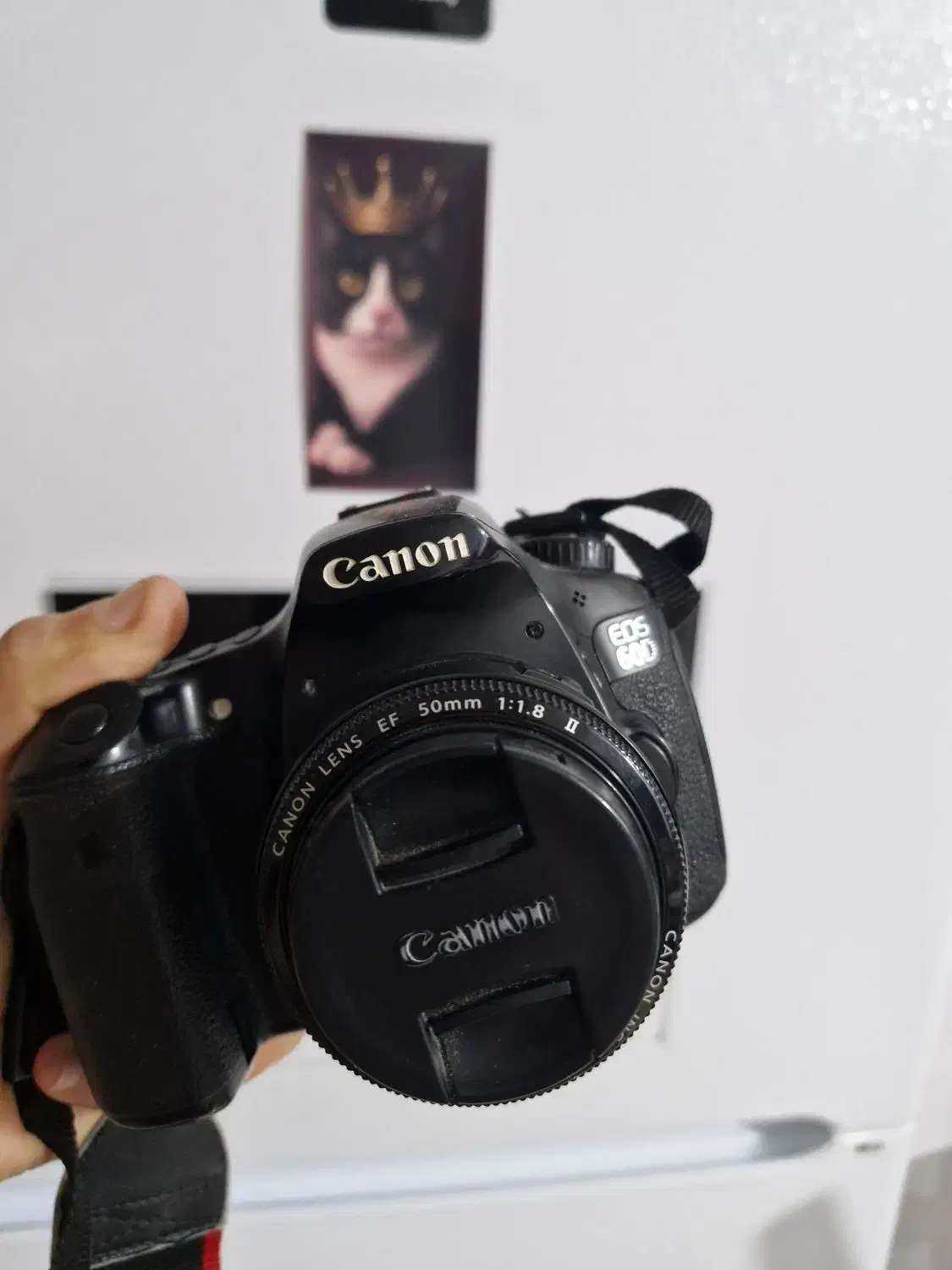 لنز ۵۰ ۱.۸ کانن مارک ۲|دوربین عکاسی و فیلم‌برداری|تالش, هشتپر|دیوار