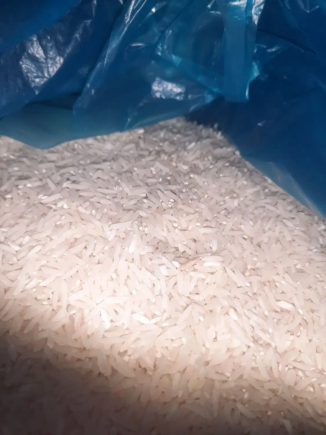 برنج|خوردنی و آشامیدنی|نگین شهر, |دیوار