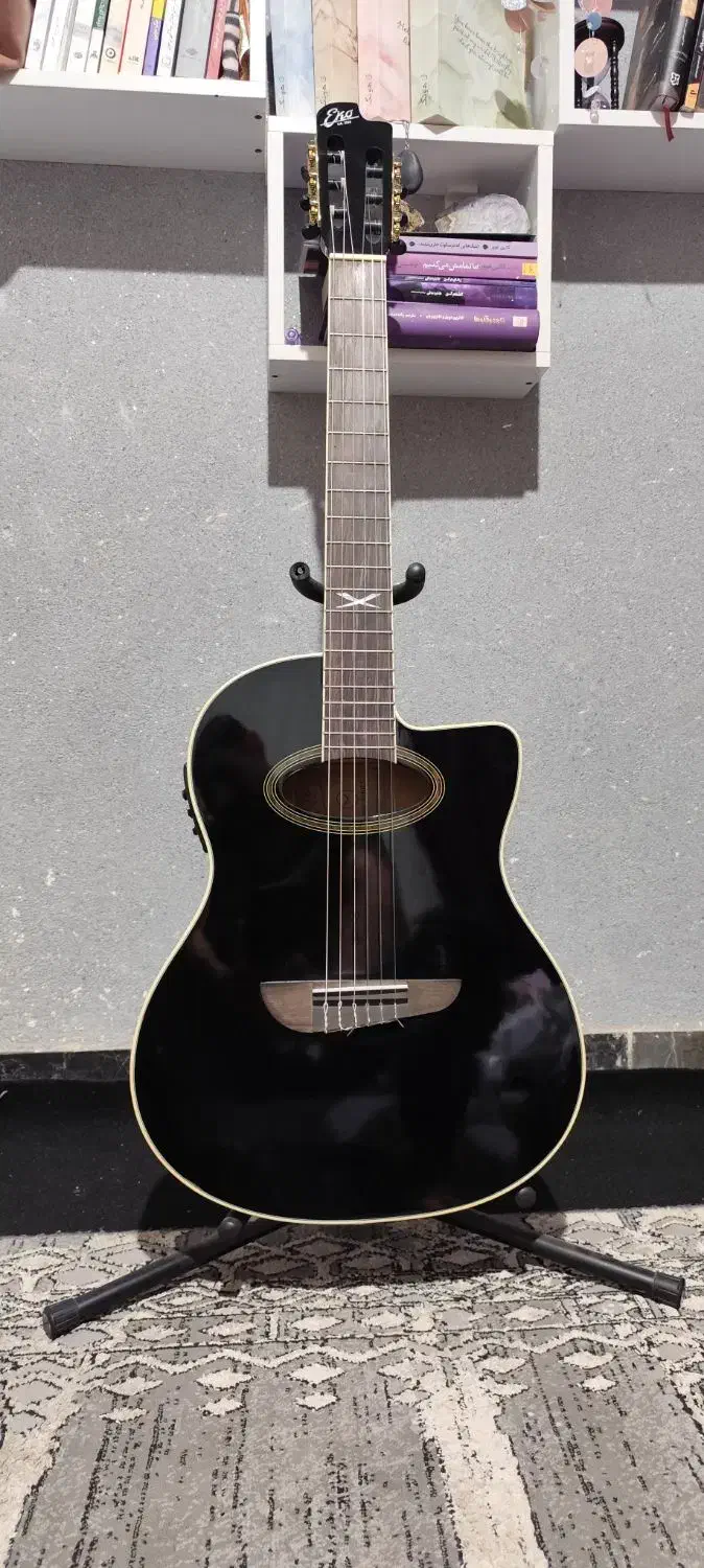 گیتار کاتوی پیکاپدار EKO|گیتار، بیس، امپلیفایر|شیراز, دشت چنار|دیوار