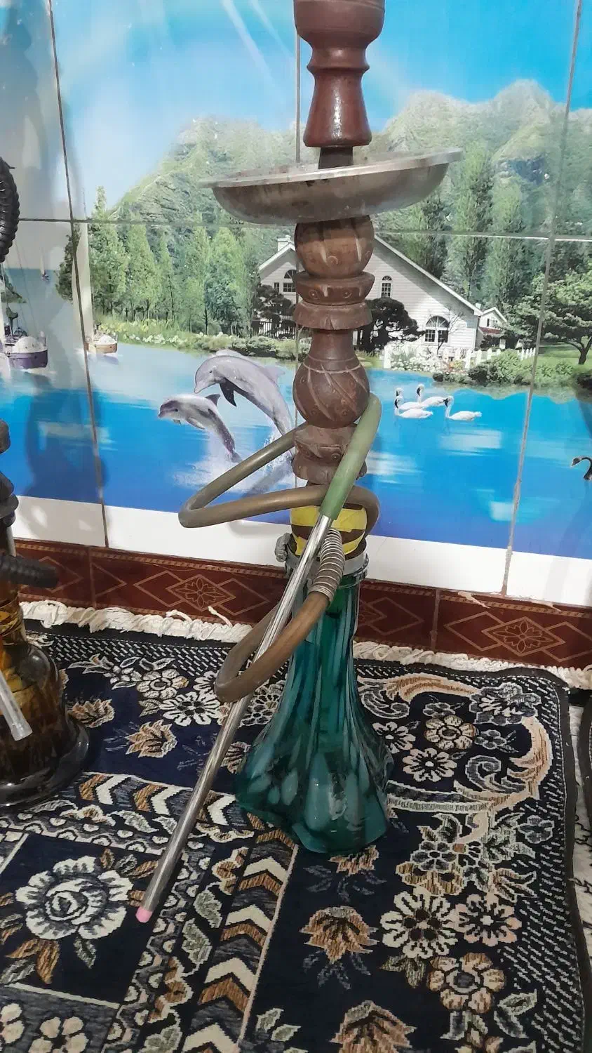 قلیون|کافیشاپ و رستوران|نورآباد, |دیوار