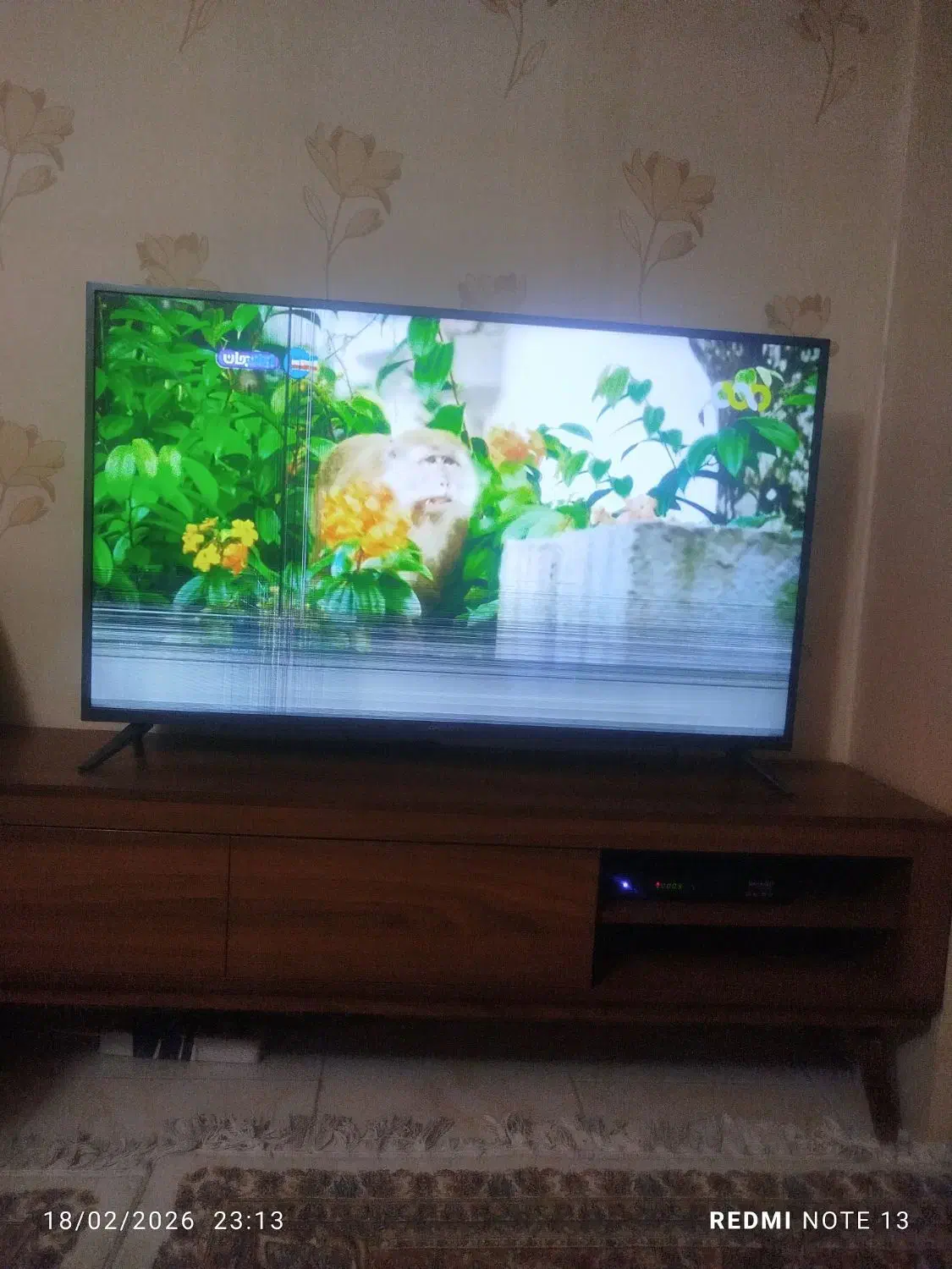 ضربه خورده|تلویزیون و پروژکتور|کرج, شاهین‌ویلا|دیوار