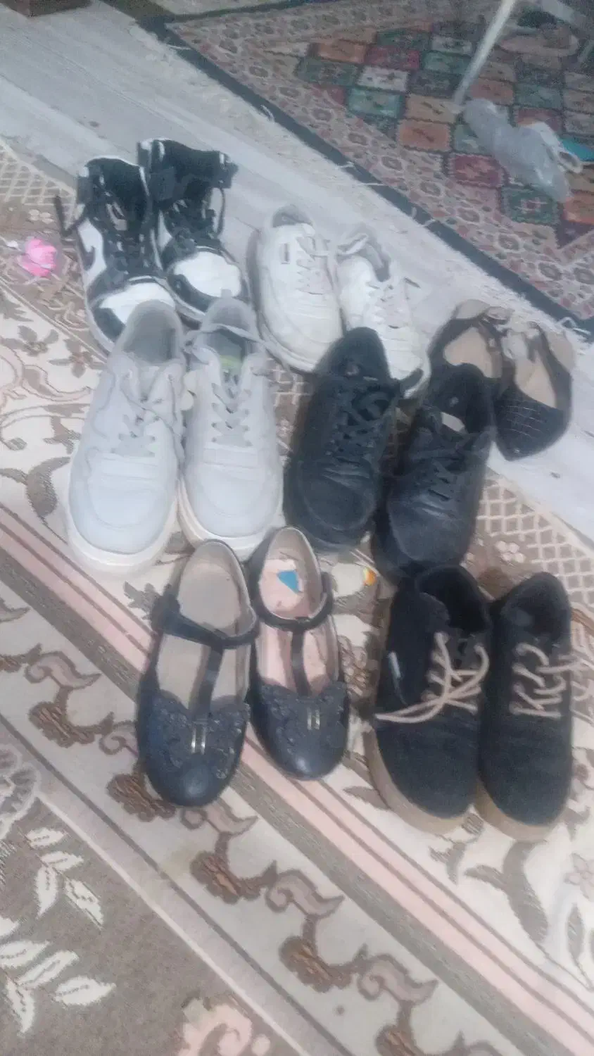 کفش|کیف، کفش، کمربند|تربت جام, حافظ|دیوار