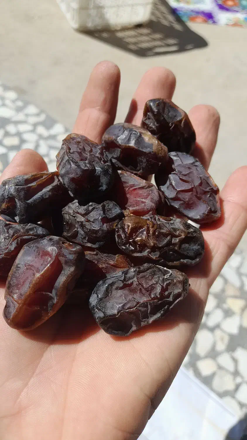 خرمای‌‌کبکاب‌پاک‌کرده‌‌بسته‌بندی‌روستای‌طلحه‌|خوردنی و آشامیدنی|بوشهر, |دیوار